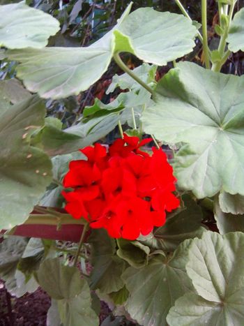 IMG_20140709_200338.jpg