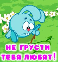 папка фото 447.jpg