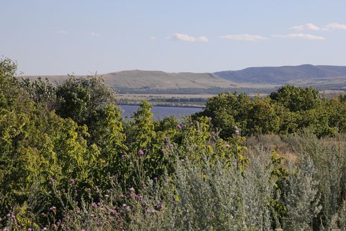 IMG_3933 - копия.JPG