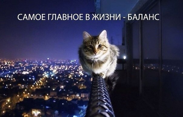 8dUoGqKEMwY.jpg