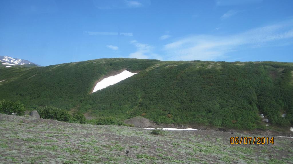 снежная лощина.JPG