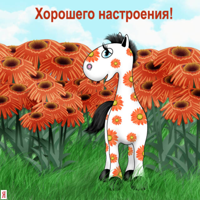 167568.jpg
