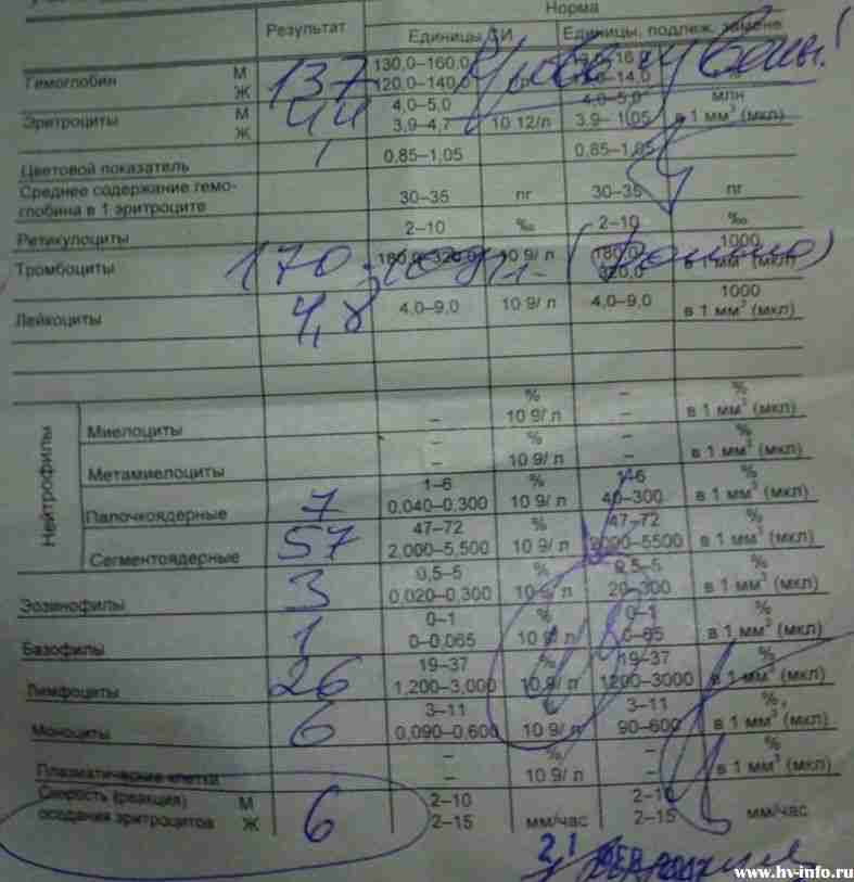 16 нед-2.jpg