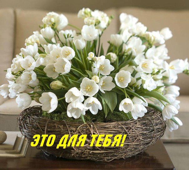 813c2aa2b558.jpg