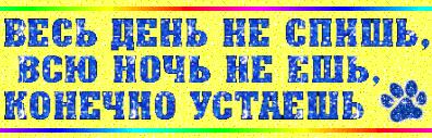 803763977-1-1.jpg
