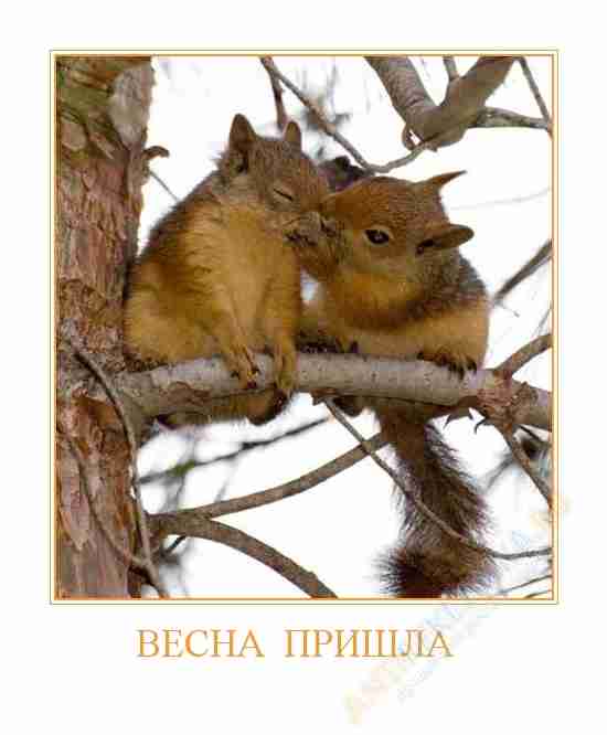 detail_vesna_prishla_.jpg