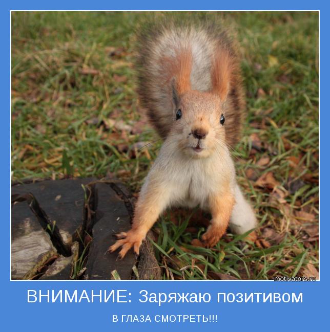 motivator-4609.jpg