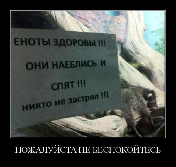 ozI8Ccwvg2s.jpg