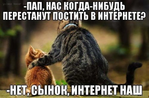инет наш.jpg