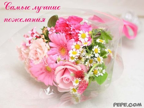 231668_500.jpg