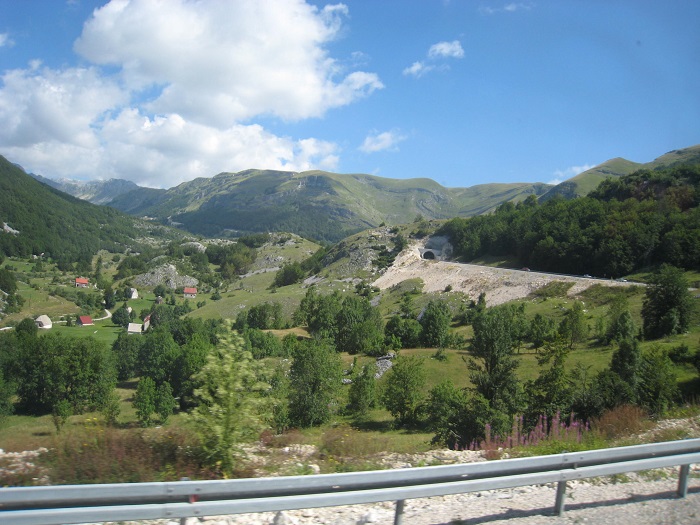 IMG_4663.JPG
