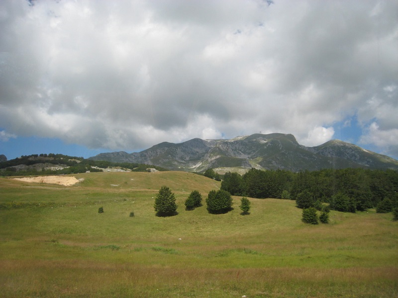 IMG_4674.JPG