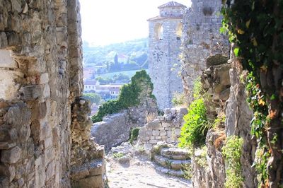 IMG_4951.JPG
