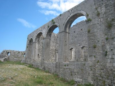 IMG_5156.JPG