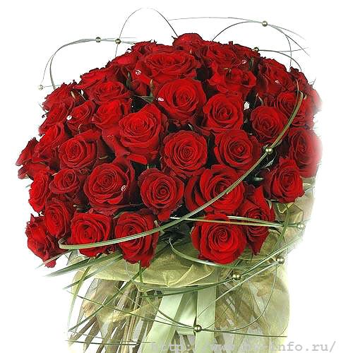 shop_items_catalog_image451.jpg