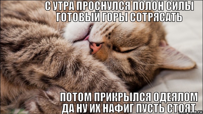 33149e0f83074f87d7e44f29696ac3b6.jpg