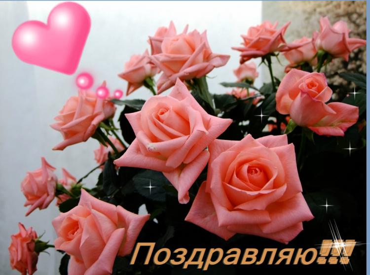 a2a9d1cc1ab06b4b339945a0a2bc932a.jpg