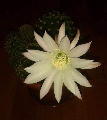 20140726_072542-1.jpg