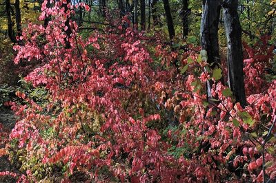 IMG_8997.JPG