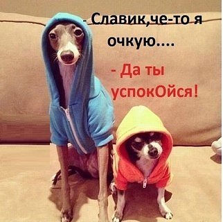 славик.jpg