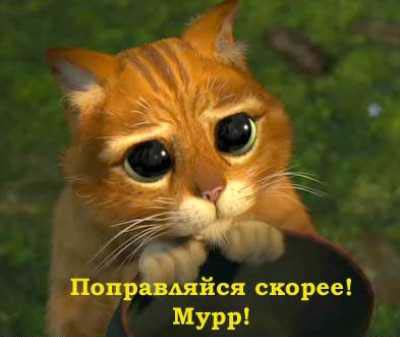 выздоравливай.jpg