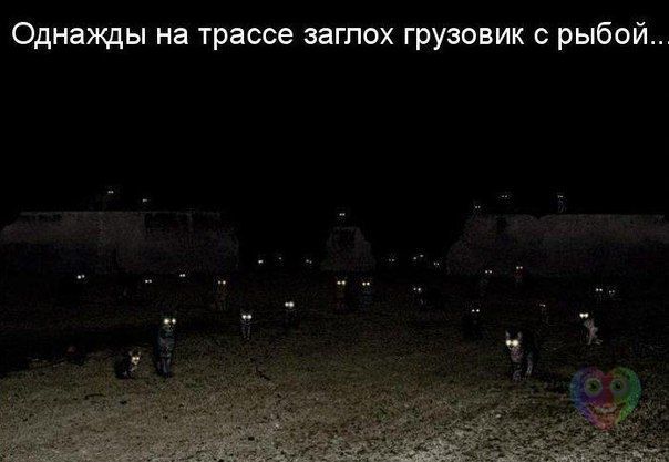 BGI40gfiJ7Y.jpg