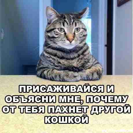 x_50259d1c.jpg