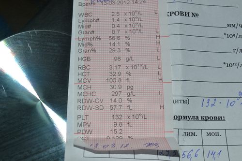 Изображение 1090.jpg