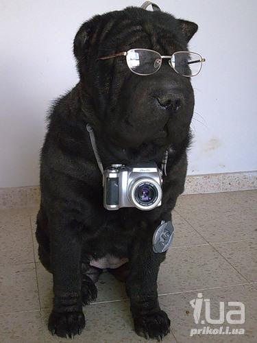 фотограф.jpg