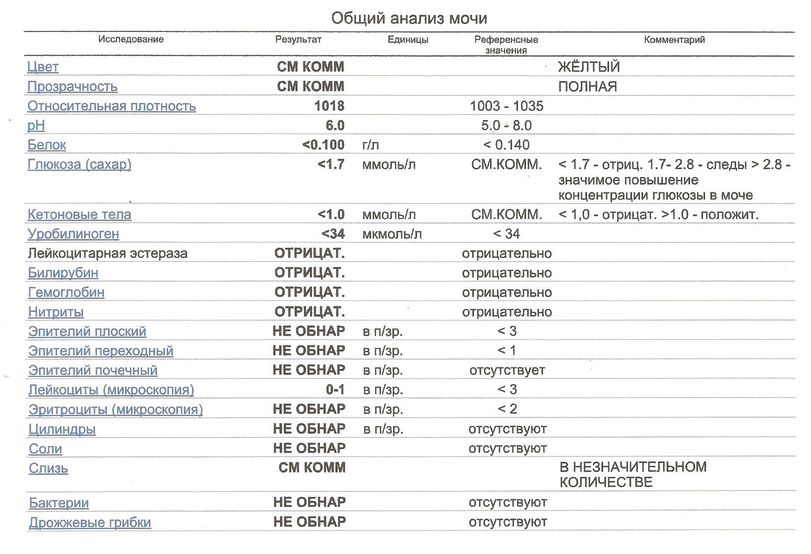 Плотность белка в моче