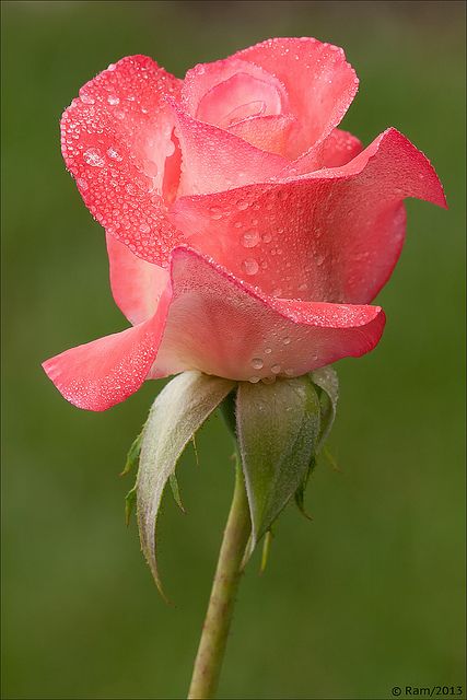 8abb43a5e1b78c020ce247cd3e18826f.jpg