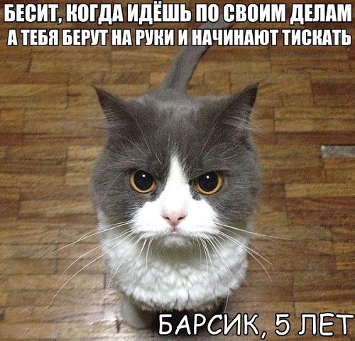 image (1).jpg
