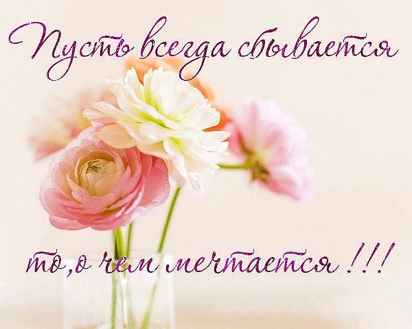 getImage (17).jpg