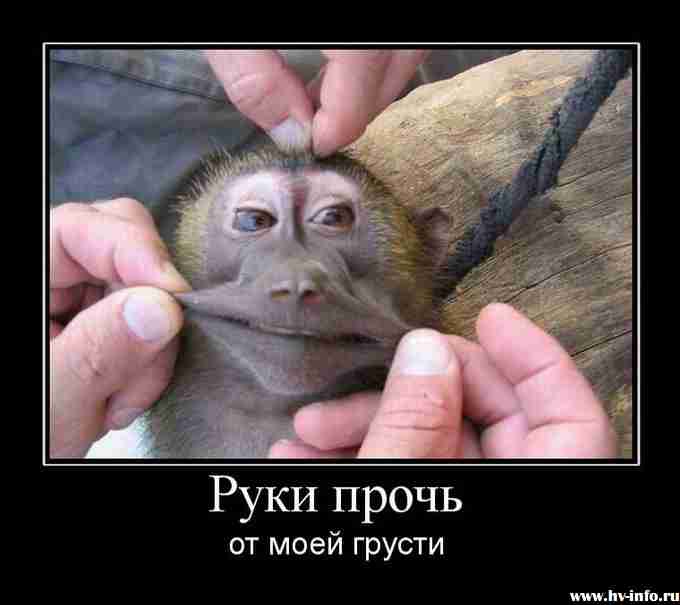 1325750982_demotivatory-s-zhivotnymi-2.jpg