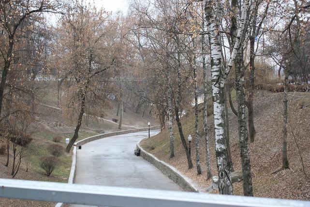 Спуск к реке Сож.JPG