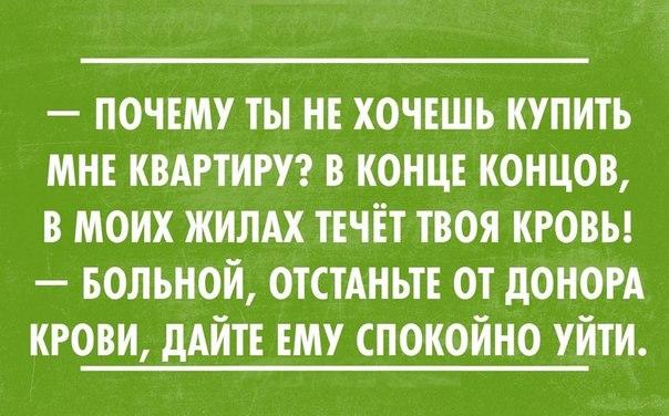 z6CWK_5pYMM.jpg
