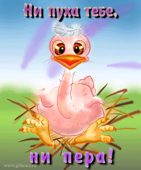 47862102_1251032370_9.gif