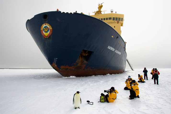 1109-antarctica-714.jpg