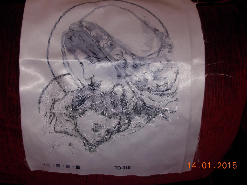 DSCN0271.JPG