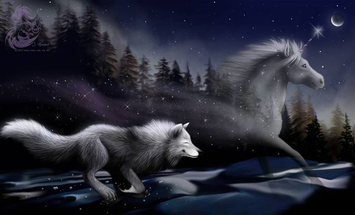 62150959_behind_the_northern_lights_by_ballistic_kitten.jpg
