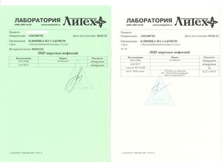 ПЦР.JPG