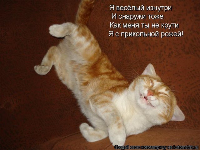 кот рыжий.jpg