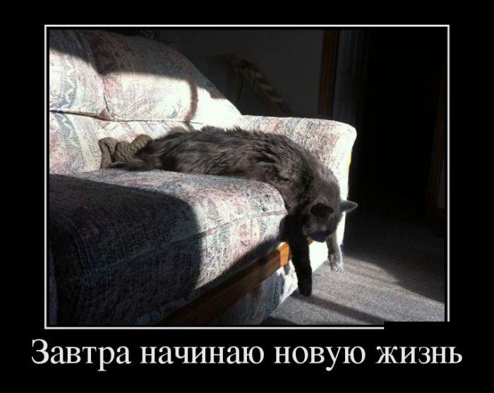 новая жизнь.jpg