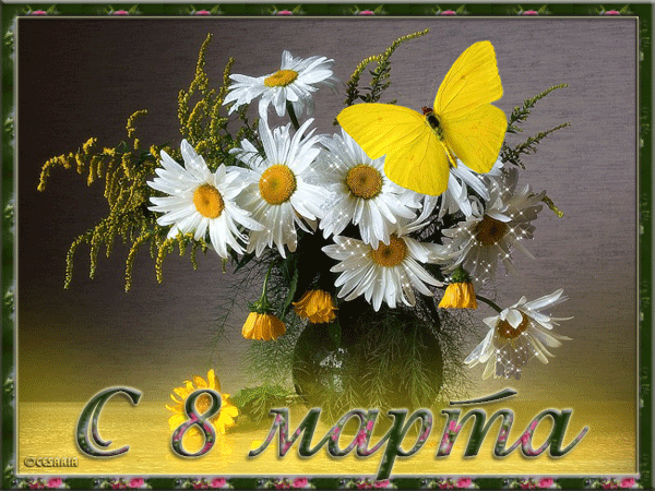 8 marta.gif