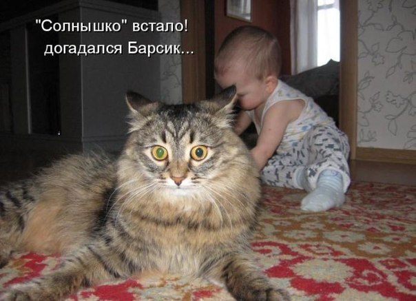 Ггг.jpg
