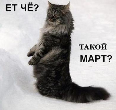 типа март.JPG