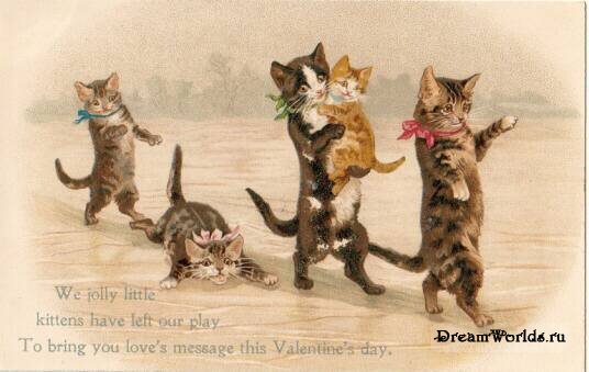 1224855563_old_cat_006.jpg