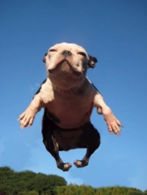 image.jpg