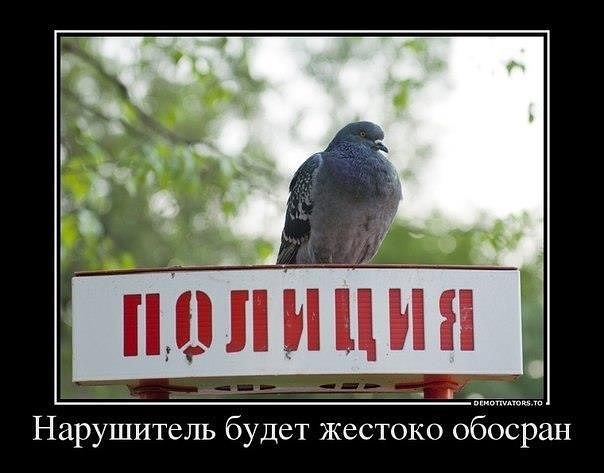 image-14.jpeg