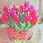 image_10604130708031835113.png
